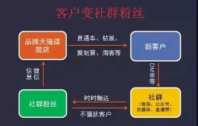 社群淘客 从淘宝天猫出发，玩转社交电商的实战指南